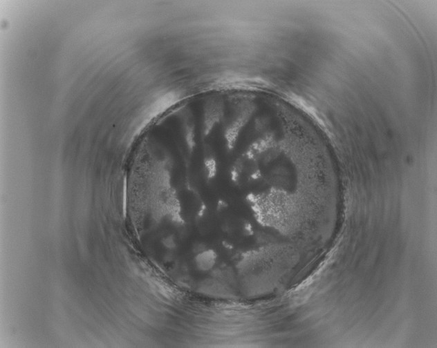 X0000088591219200706011129