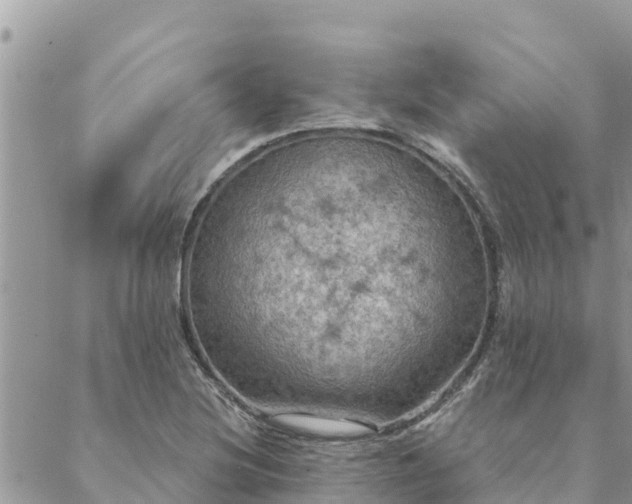 X0000088591220200706011129