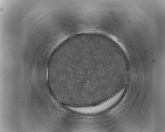 X0000088591221200706011129