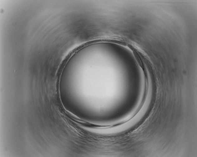 X0000088591222200706011129