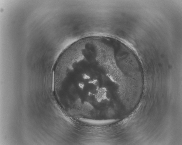 X0000088591223200706011129