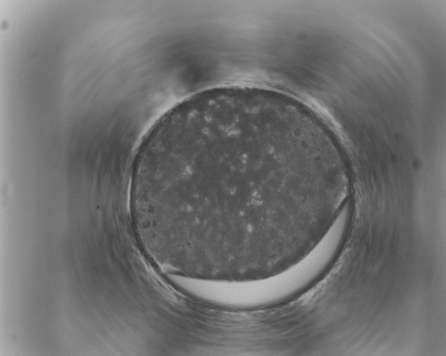 X0000088591224200706011129