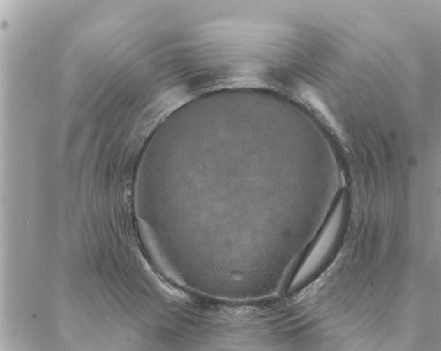 X0000088591225200706011129