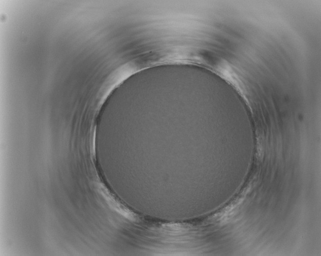 X0000088591227200706011129