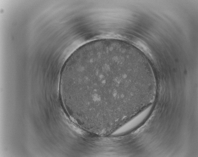 X0000088591228200706011129