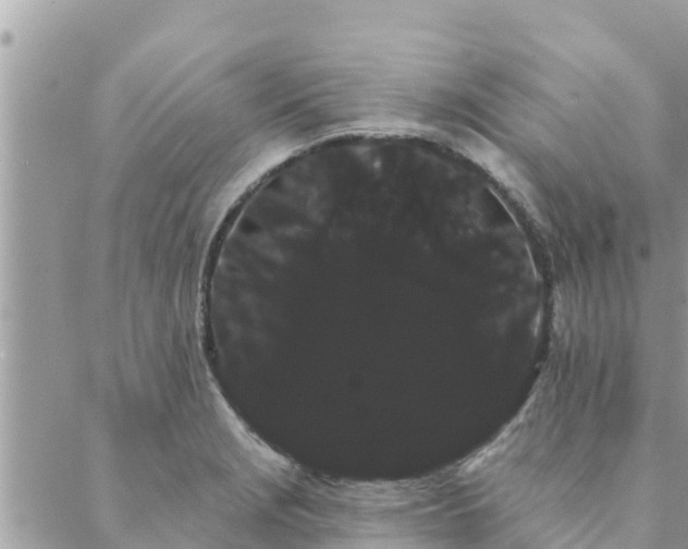 X0000088591229200706011129