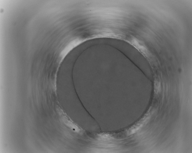 X0000088591230200706011129