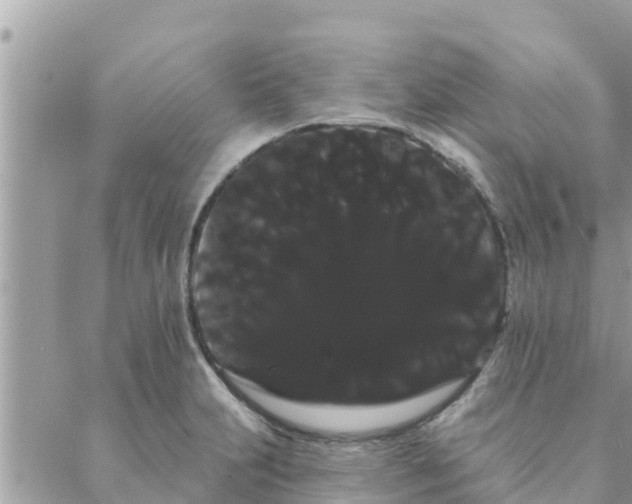 X0000088591231200706011129