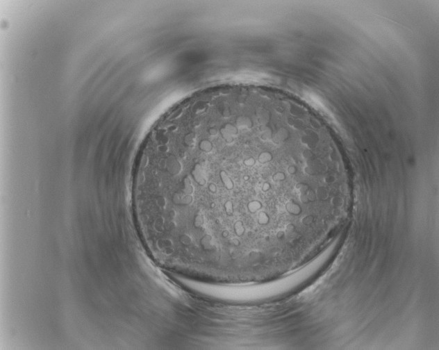 X0000088591232200706011129