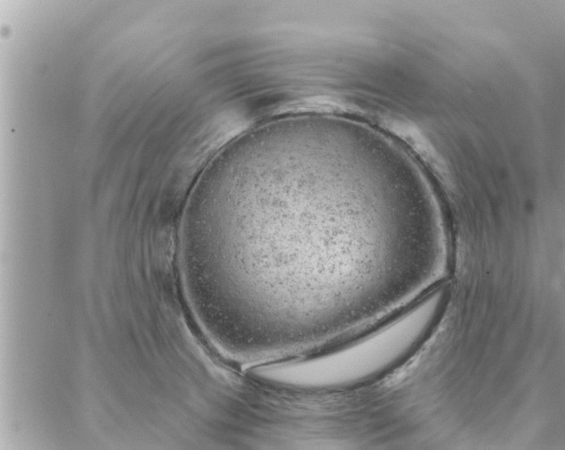 X0000088591233200706011129