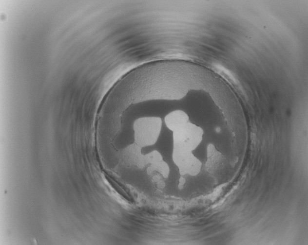 X0000088591236200706011129