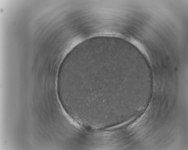 X0000088591237200706011129