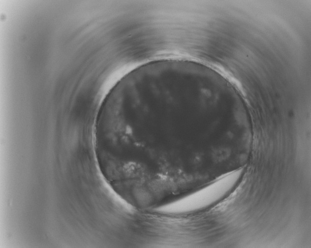 X0000088591239200706011130