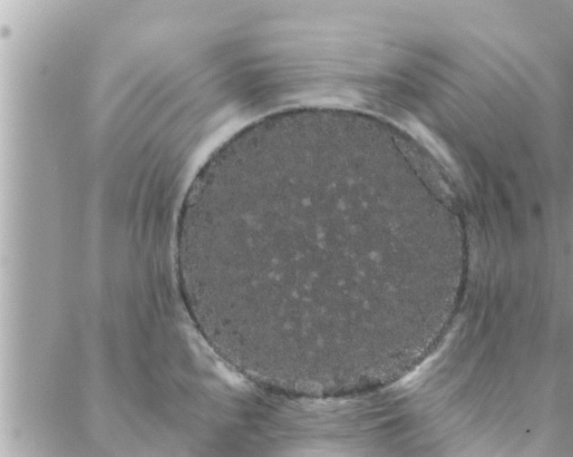 X0000088591240200706011130