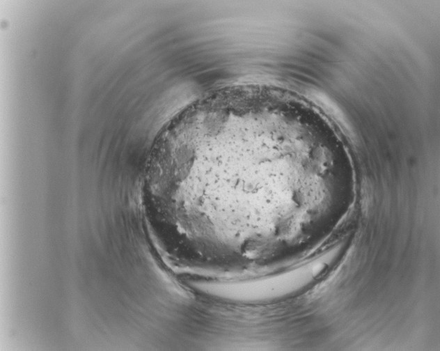 X0000088591241200706011130