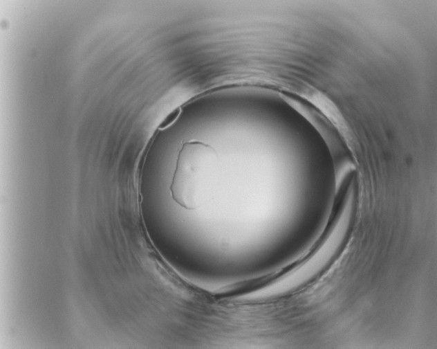 X0000088591242200706011130