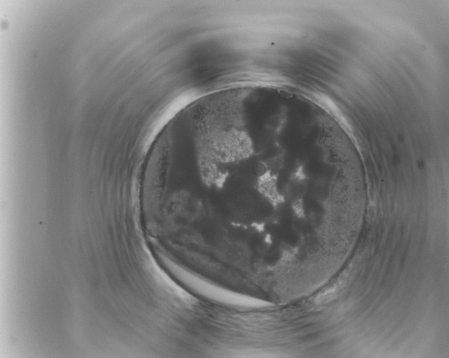 X0000088591243200706011130