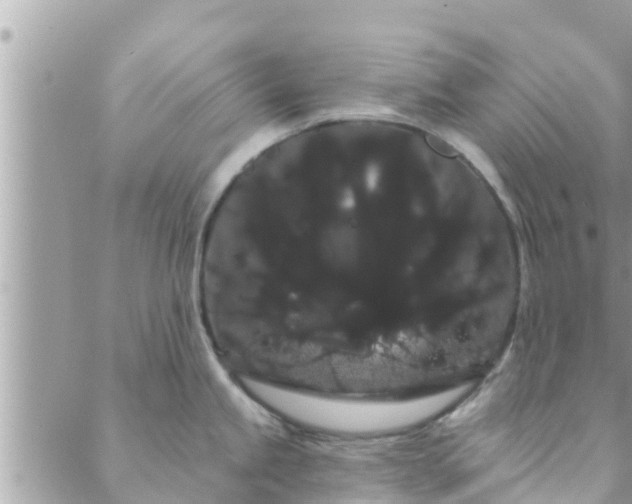 X0000088591245200706011130