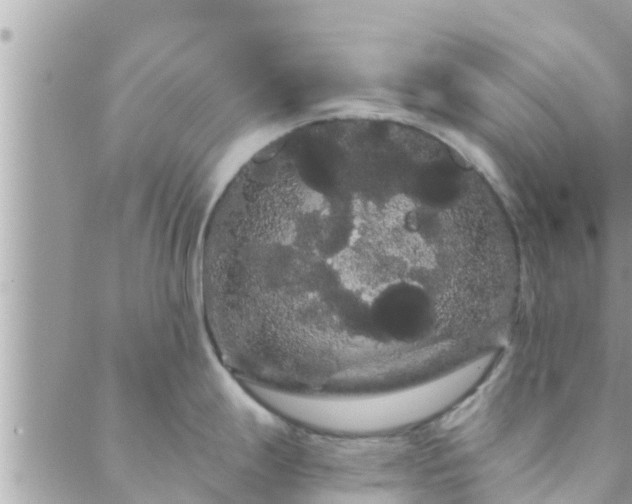 X0000088591247200706011130