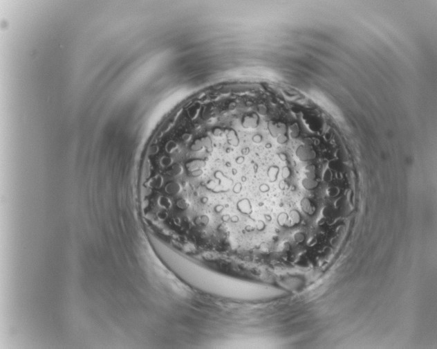 X0000088591248200706011130