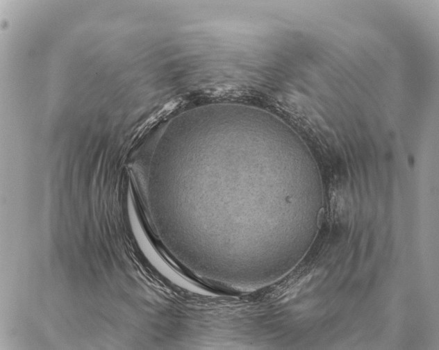 X0000088591250200706011129