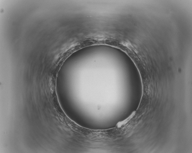 X0000088591253200706011129