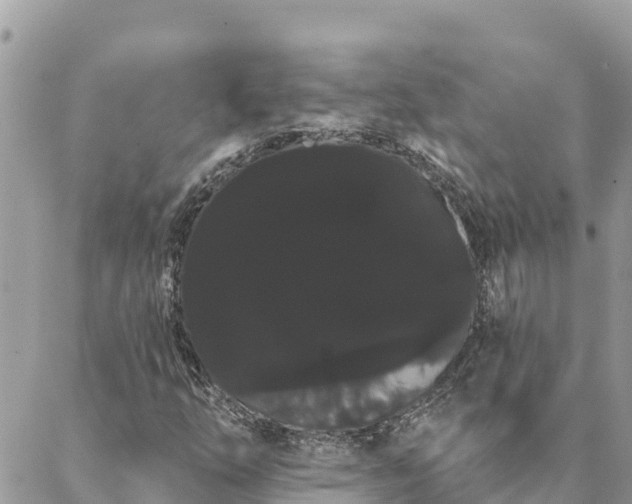 X0000088591254200706011129