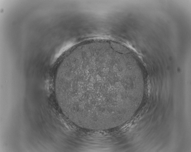 X0000088591255200706011129