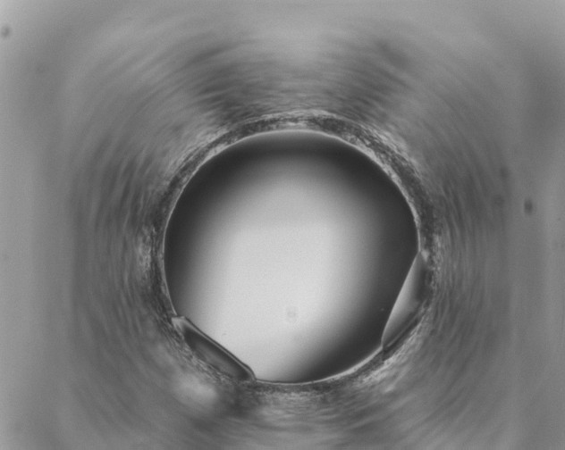 X0000088591257200706011129