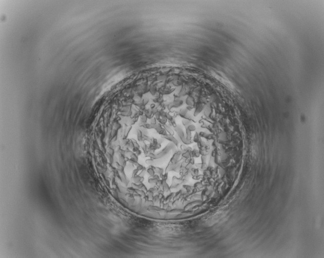 X0000088591258200706011129