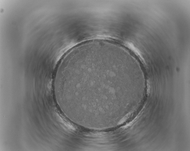 X0000088591260200706011129