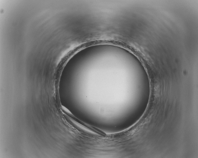 X0000088591262200706011129