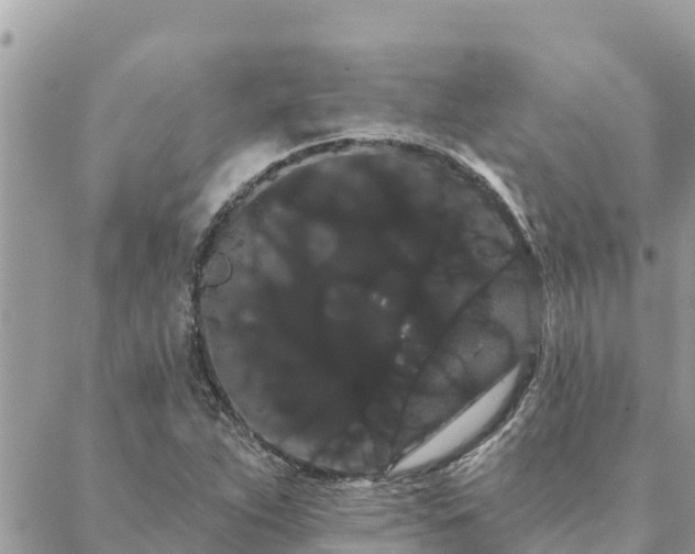 X0000088591263200706011129