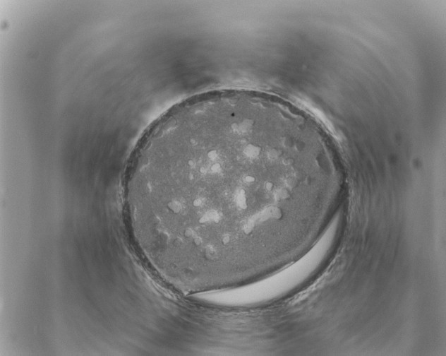 X0000088591264200706011129