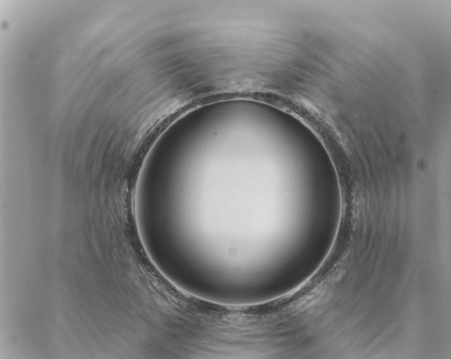 X0000088591265200706011129