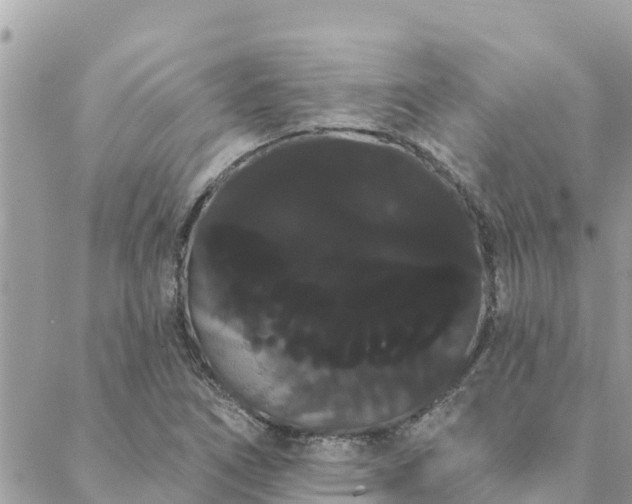 X0000088591266200706011129