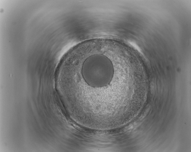 X0000088591267200706011129