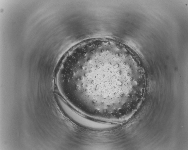 X0000088591268200706011129