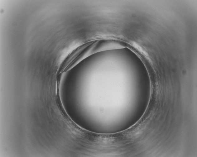 X0000088591269200706011129