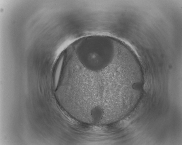 X0000088591271200706011129