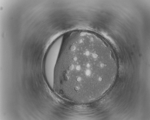 X0000088591272200706011129