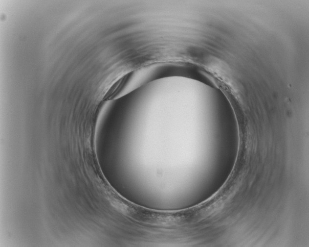 X0000088591273200706011129