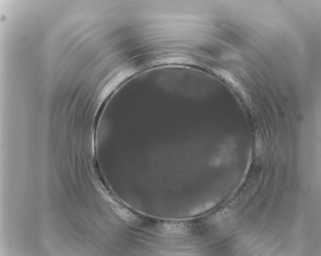 X0000088591274200706011128