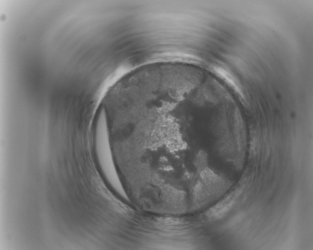 X0000088591275200706011128