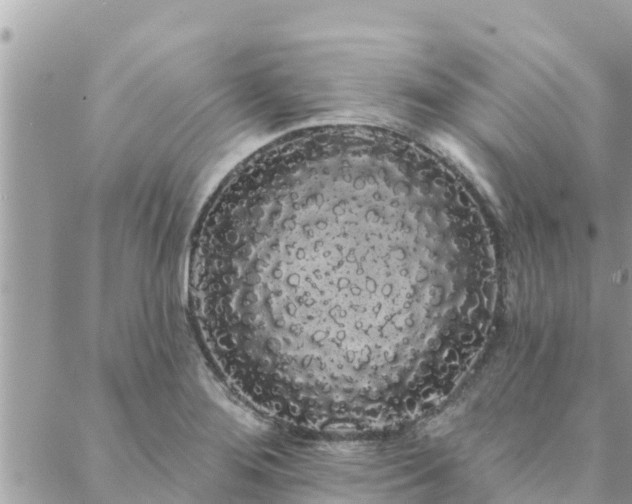 X0000088591276200706011128