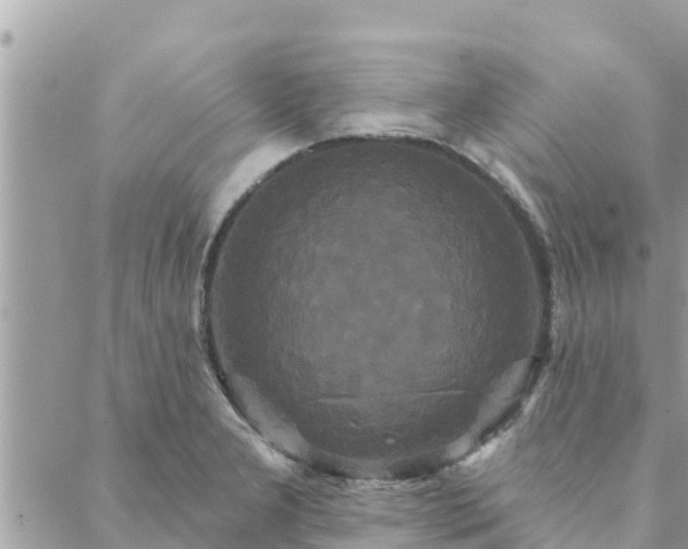 X0000088591277200706011128