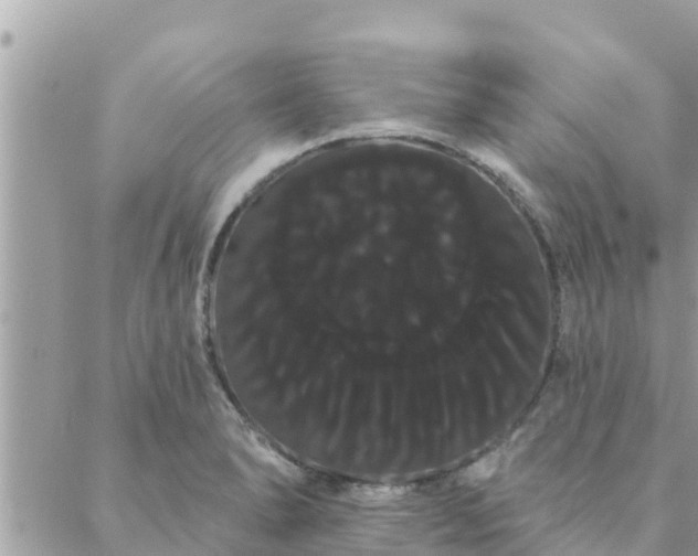 X0000088591278200706011128