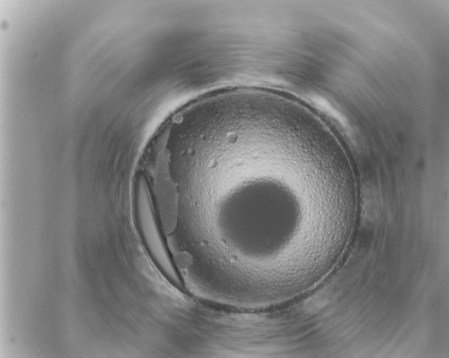 X0000088591280200706011128