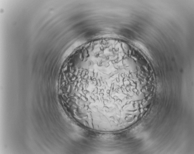 X0000088591282200706011128