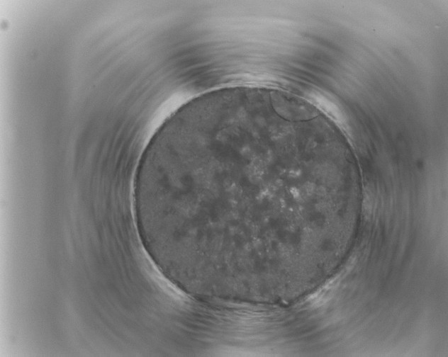 X0000088591283200706011128